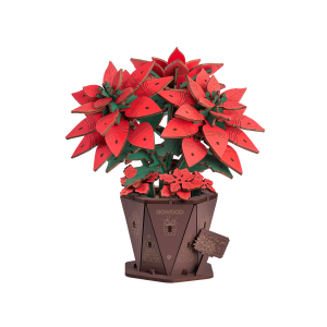 Пуансеттия